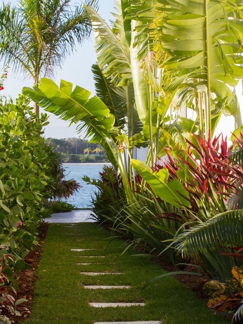Tropical Backyard Plants
 Tropical Garden Home Design Ideas Remodel and Decor