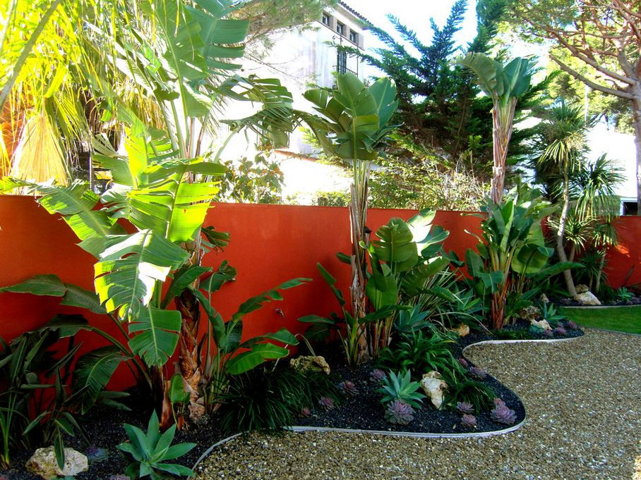 Tropical Backyard Plants
 10 Beautiful Gardens with Tropical Plants