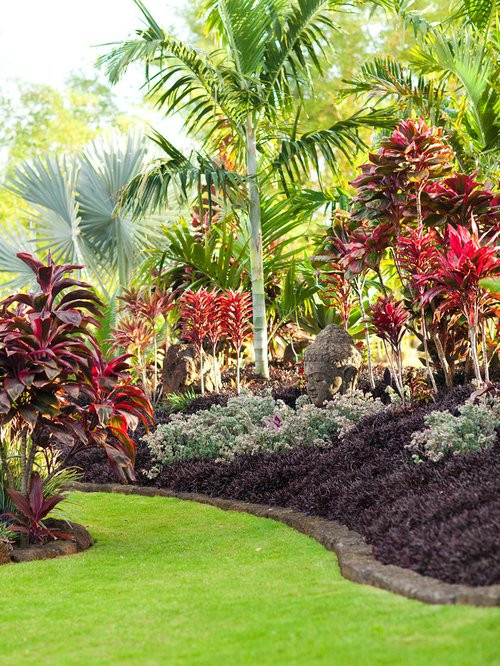 Tropical Backyard Plants
 Best Tropical Landscape Design Ideas & Remodel