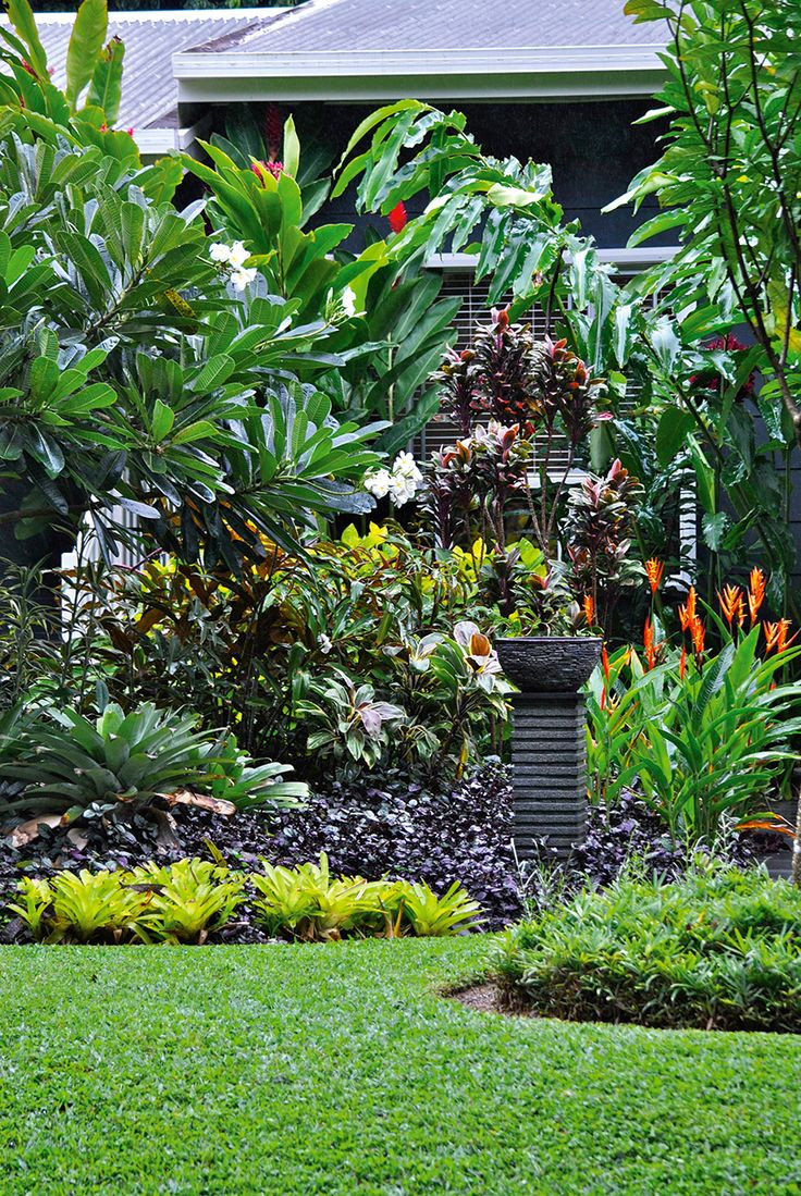 Tropical Backyard Plants
 Courtyard Tropical Designs Landscaping Ideas For Front