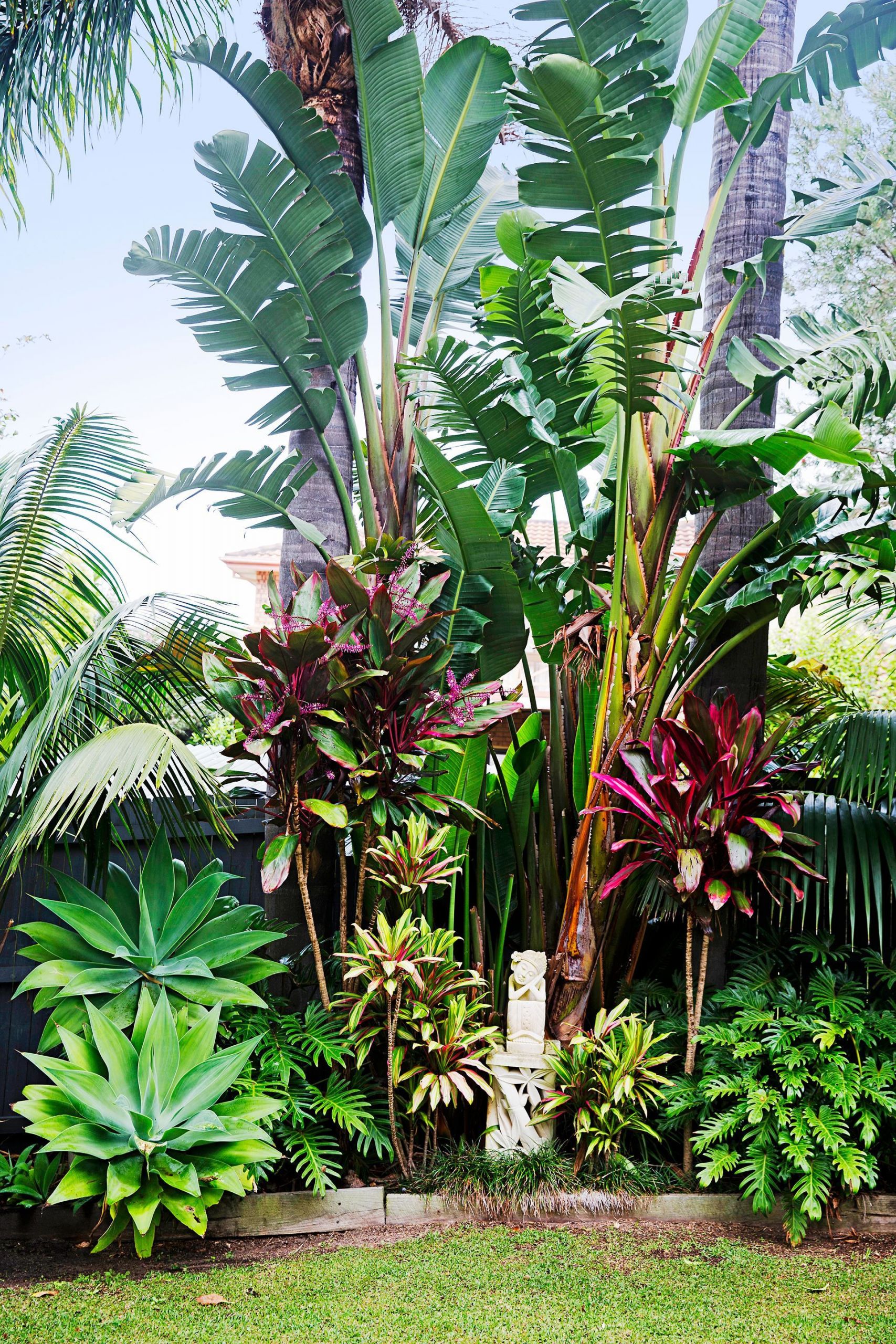 Tropical Backyard Plants
 A Balinese inspired garden in Sydney s Northern Beaches