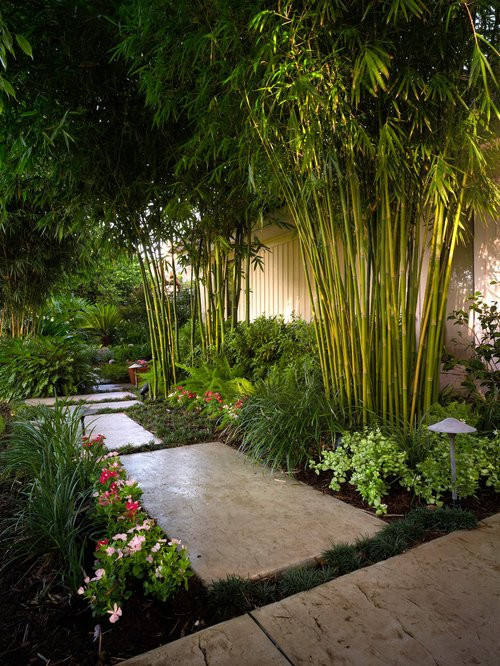 Tropical Backyard Plants
 Tropical Landscape Ideas Designs Remodels & s