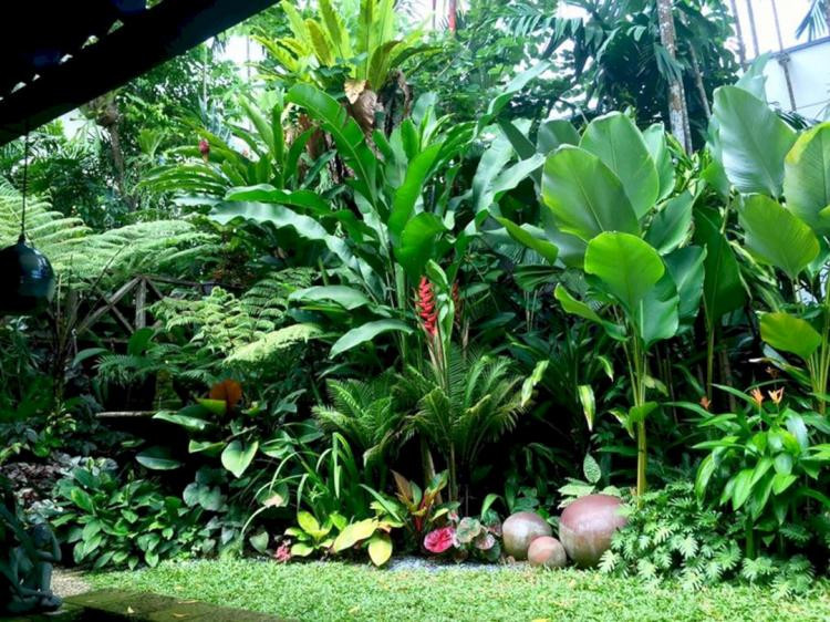 Tropical Backyard Plants
 30 Awesome Tropical Front Yard Landscape Ideas