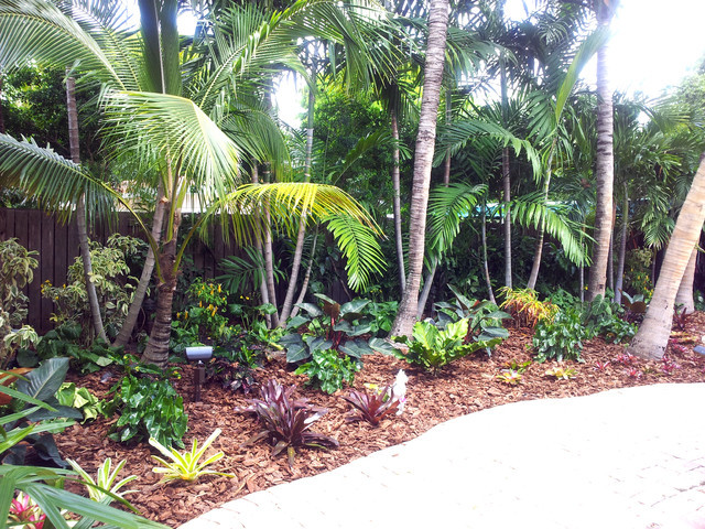 Tropical Backyard Plants
 Tropical Paradise Backyard Makeover Tropical