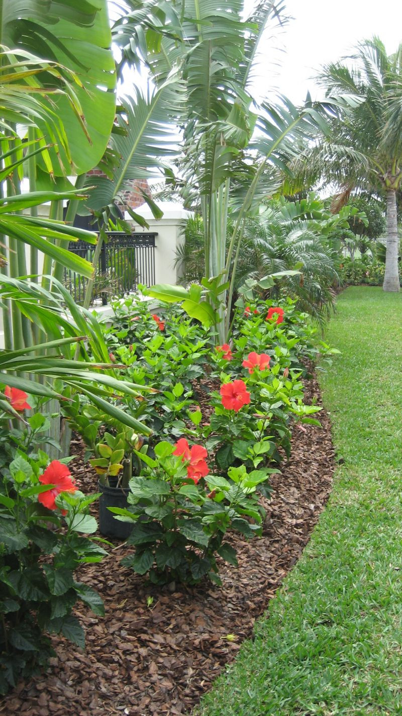 Tropical Backyard Plants
 25 Tropical Outdoor Design Ideas Decoration Love