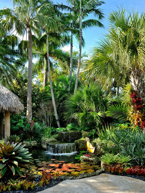 Tropical Backyard Plants
 Tropical Garden