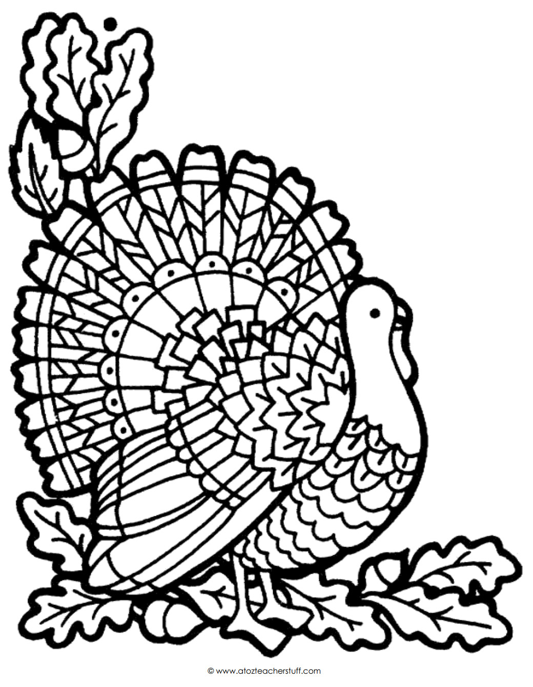Turkey Coloring Pages Printable
 Turkey Coloring Page