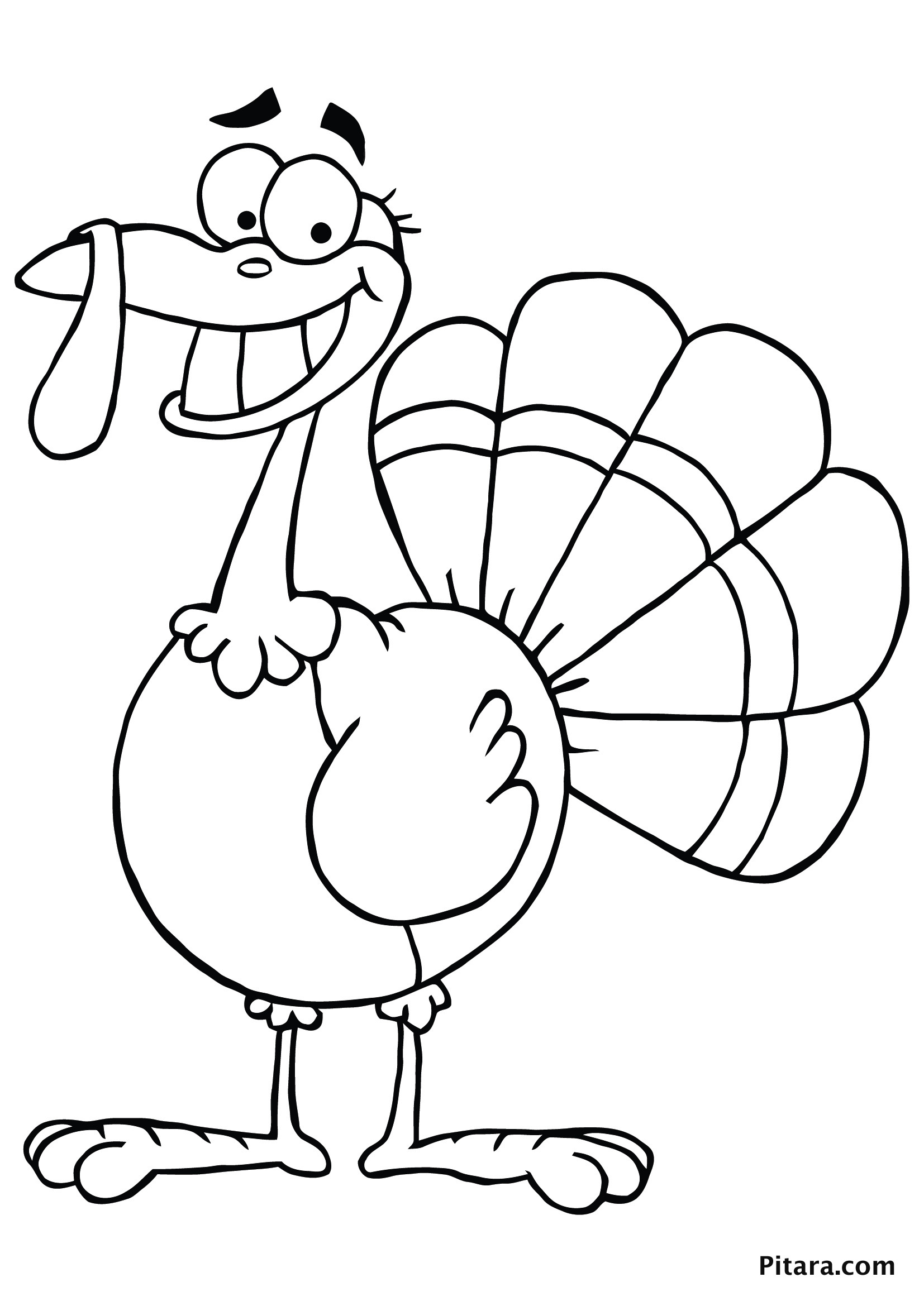 Turkey Coloring Pages Printable
 Turkey Coloring Pages for Kids
