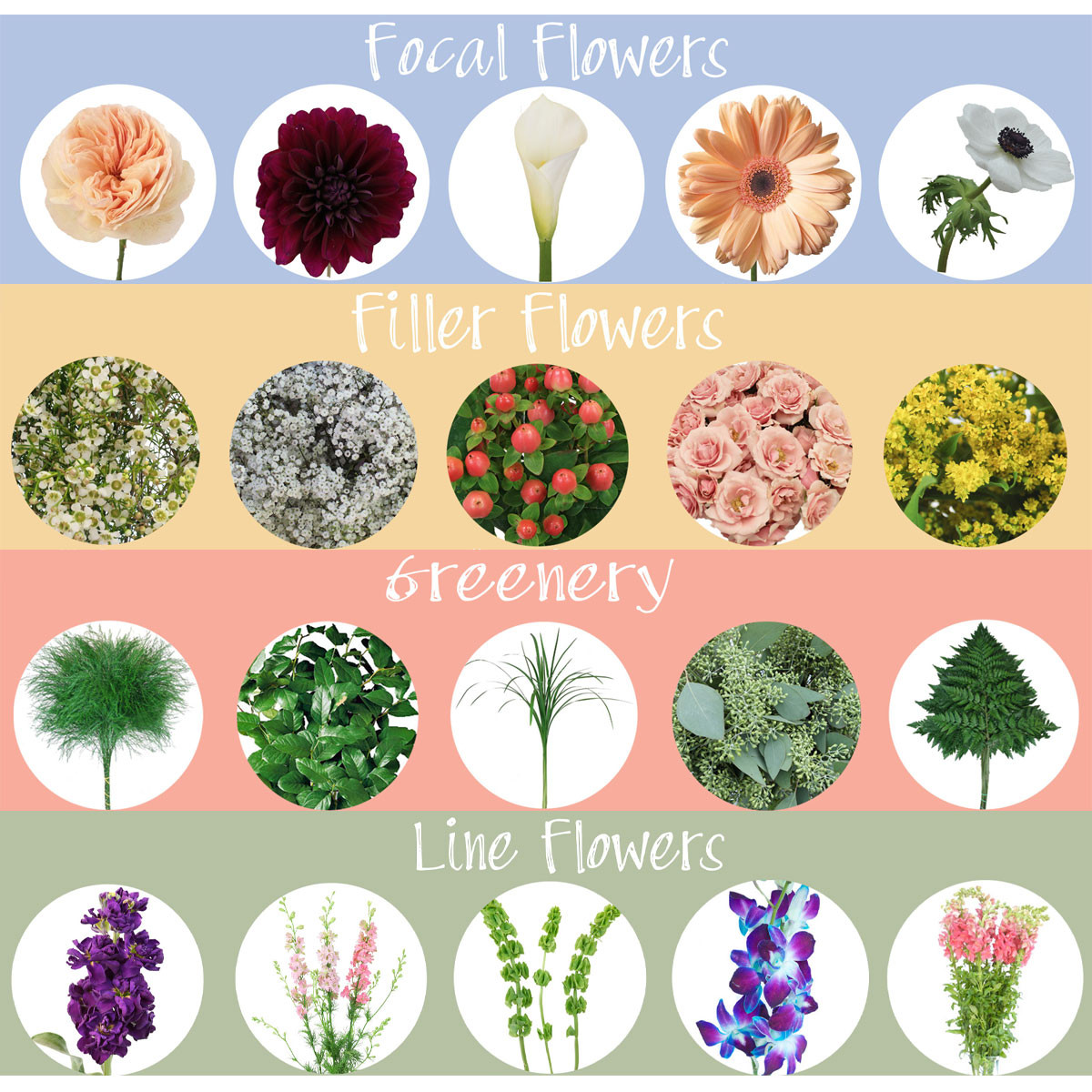 Types Of Flowers For Weddings
 130 Types of Flowers for Wedding Bouquets