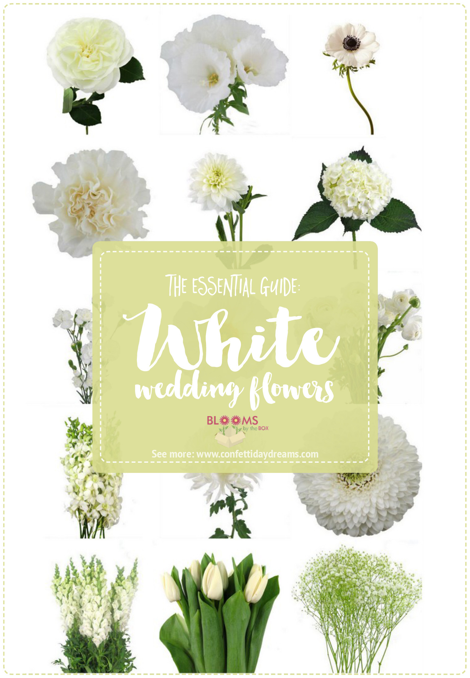 Types Of Flowers For Weddings
 White Wedding Flowers Guide Types of White Flowers Names