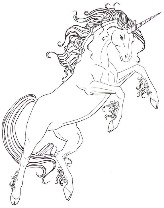 Unicorn Adult Coloring Books
 Adult Coloring Pages Free Coloring Page
