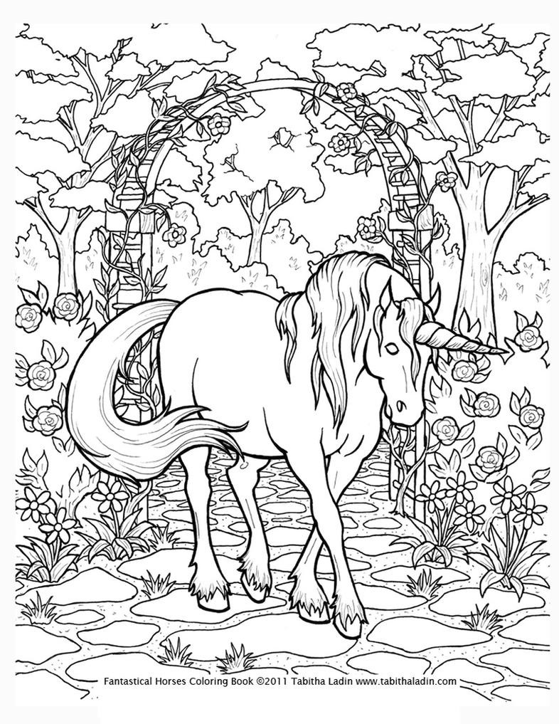 Unicorn Adult Coloring Books
 Unicorn Coloring Pages Adult Coloring pages
