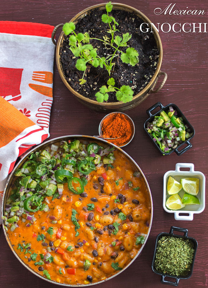 Vegan Mexican Food Recipes
 vegan mexican recipes