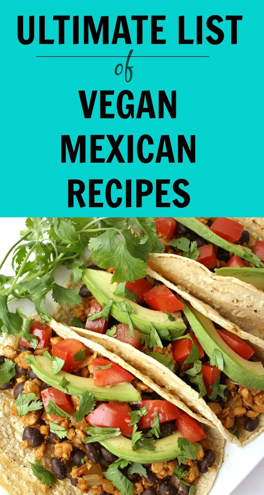 Vegan Mexican Food Recipes
 The Garden Grazer Ultimate List of Vegan Mexican Recipes