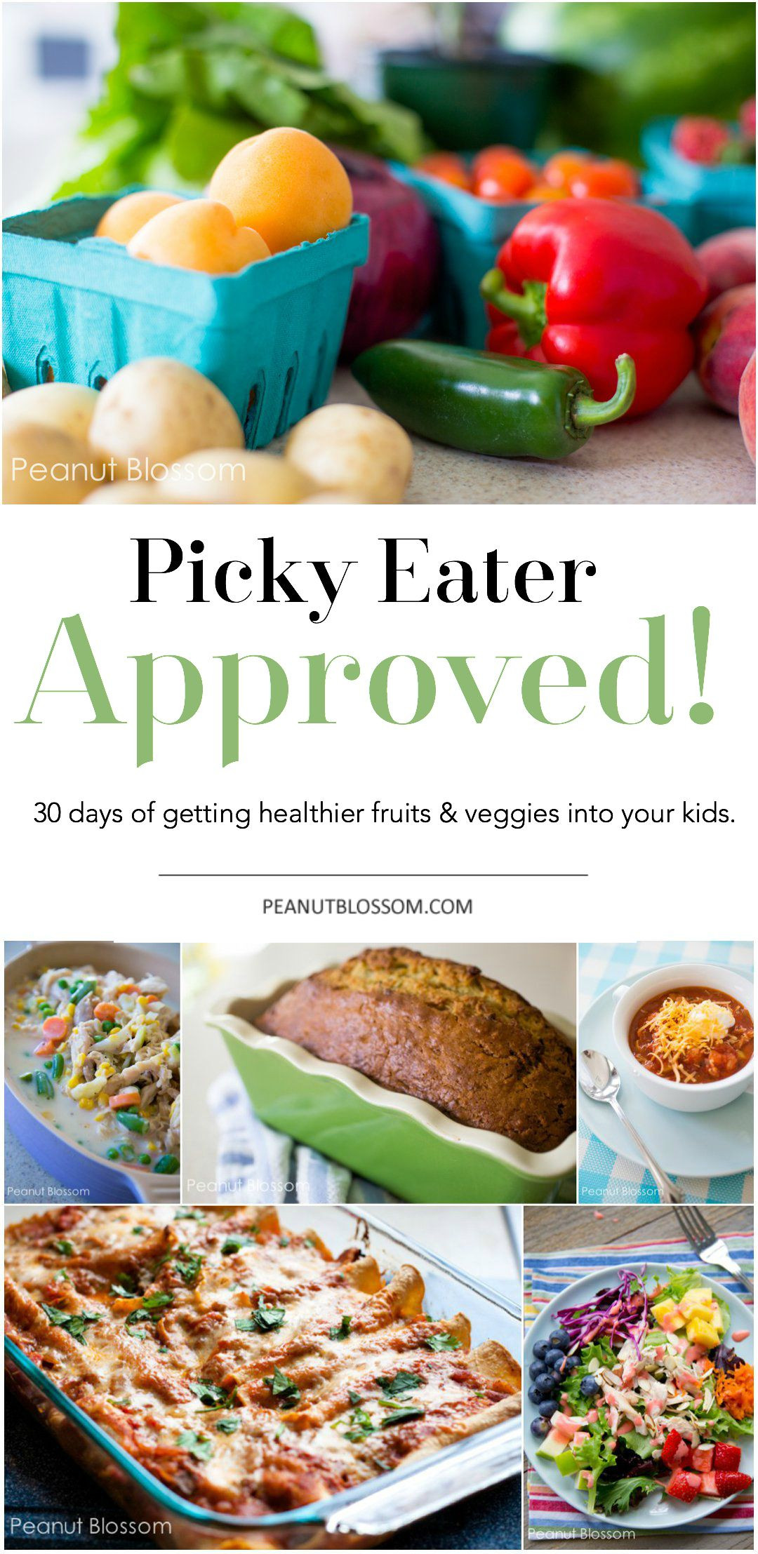 Vegetarian Recipes For Picky Eaters
 30 Days of Veggies helping picky eaters eat better