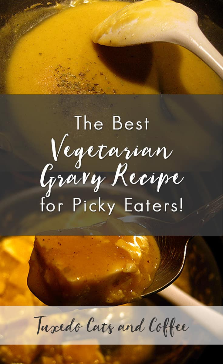 Vegetarian Recipes For Picky Eaters
 The Best Ve arian Gravy Recipe for Picky Eaters Tuxedo