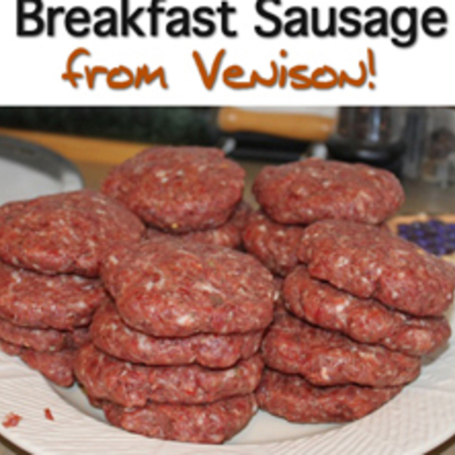 Venison Breakfast Sausage Recipe
 Venison Breakfast Sausage – Recipe