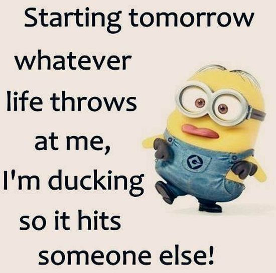 Very Funny Quotes
 Best 45 Very Funny minions Quotes – Quotes and Humor