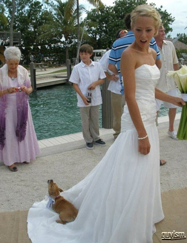 Wedding Dress Fails
 Happy memories of the big day The wedding photos that