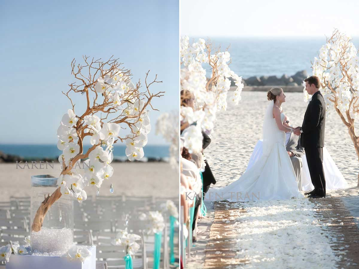 Wedding In The Beach
 Tiffany Aqua beach wedding at the Hotel Del Coronado