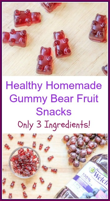 Welch'S Fruit Snacks Healthy
 Healthy Homemade Gummy Bear Fruit Snacks A Fork s Tale