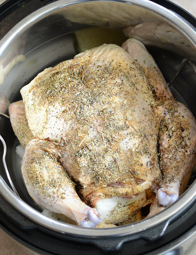Whole Chicken Instant Pot Recipes
 Instant Pot Whole Chicken Meatloaf and Melodrama