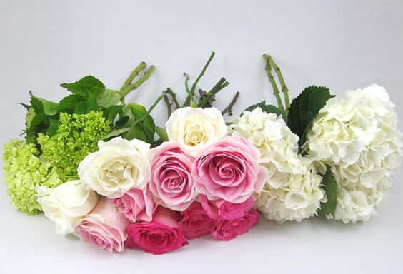 Wholesale Wedding Flowers
 Phantasmagorical Wholesale Wedding Flowers For Spring Season