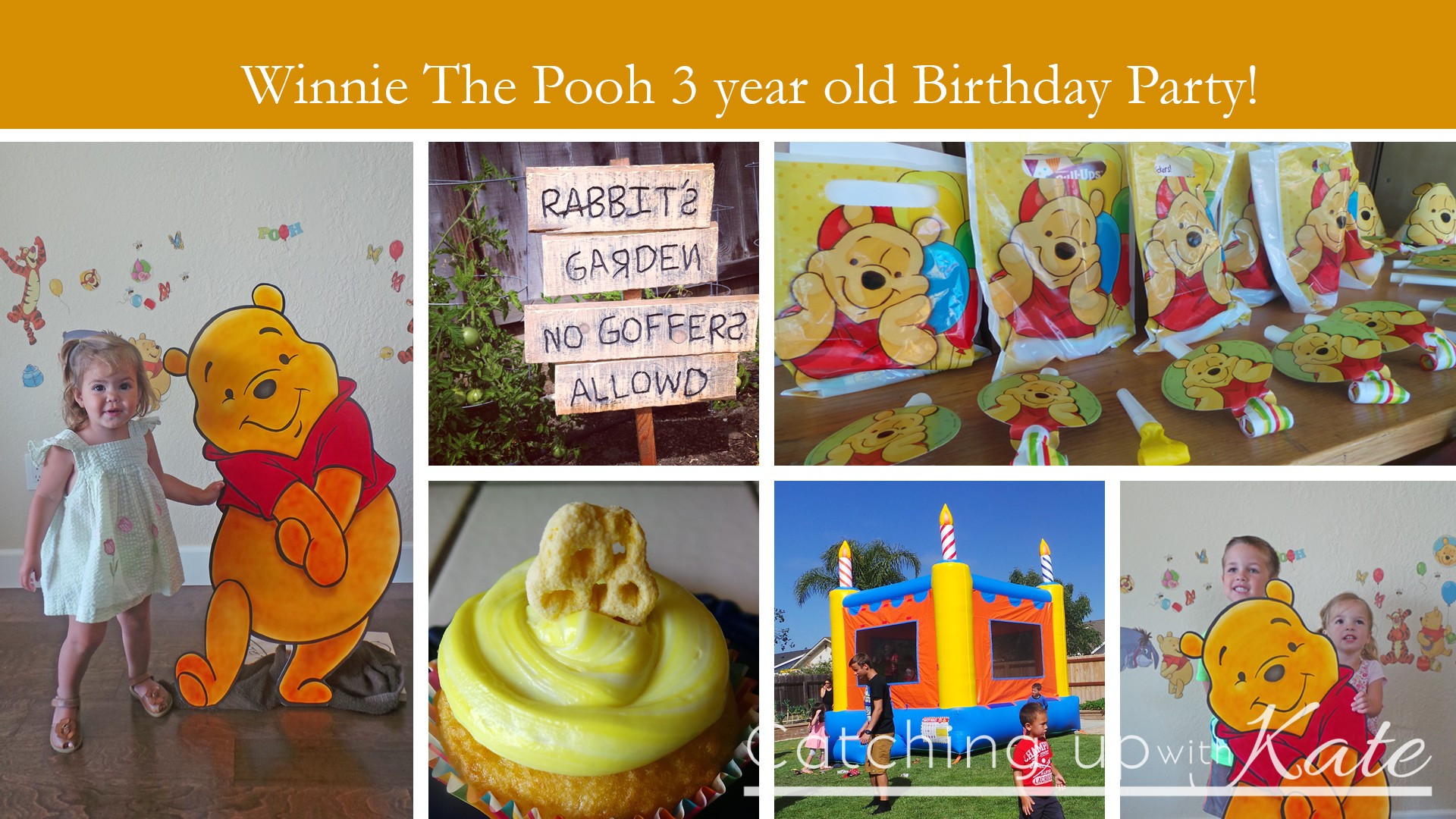 Winnie The Pooh Birthday Decorations
 Winnie the Pooh Birthday Party