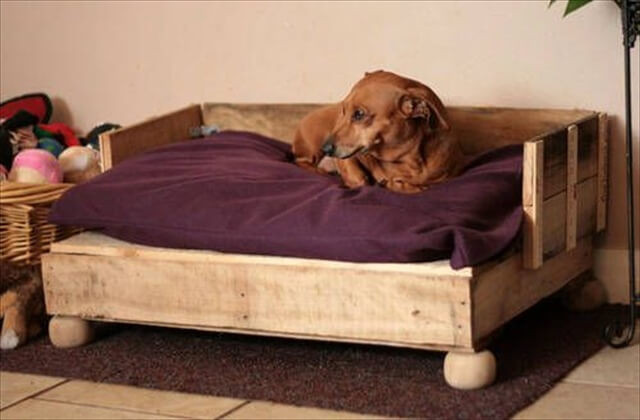 Wooden Dog Beds DIY
 Woodwork Diy Wood Dog Bed PDF Plans