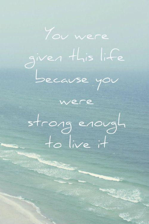 You Were Given This Life Quote
 You were given this life because you were strong enough to