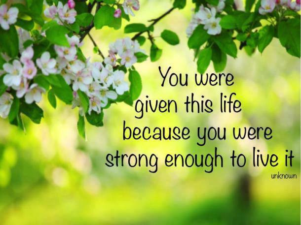 You Were Given This Life Quote
 who wrote you were given this life quote