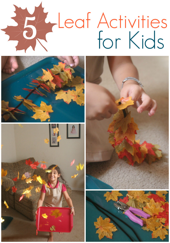 Autumn Activities For Toddlers
 5 Simple Leaf Activities for Kids