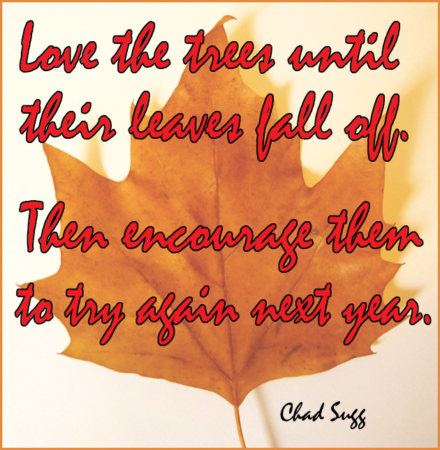 Autumn Funny Quotes
 Fall Funny Quotes QuotesGram