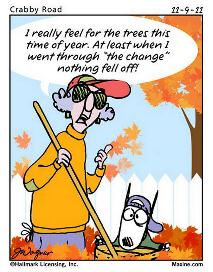 Autumn Funny Quotes
 Chuck s Fun Page 2 Maxine cartoons