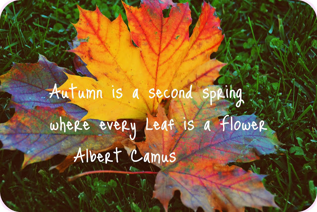 Autumn Funny Quotes
 Funny Autumn Quotes