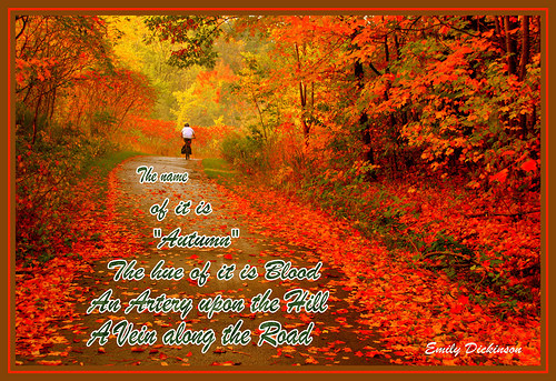 Autumn Funny Quotes
 Autumn Sayings Funny Quotes QuotesGram