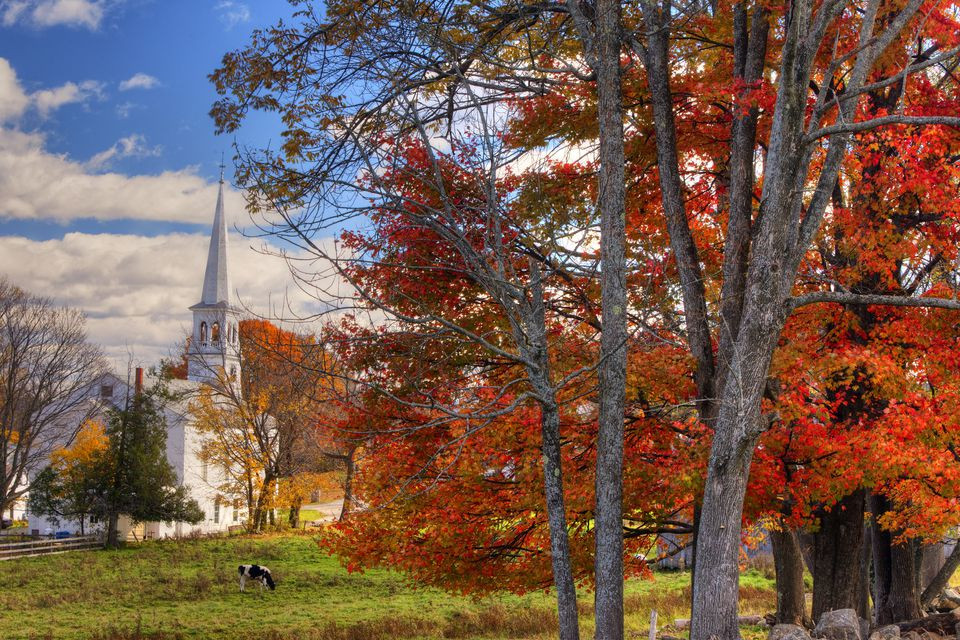 Fall Activities In New England
 New England Fall Foliage Reports 2016