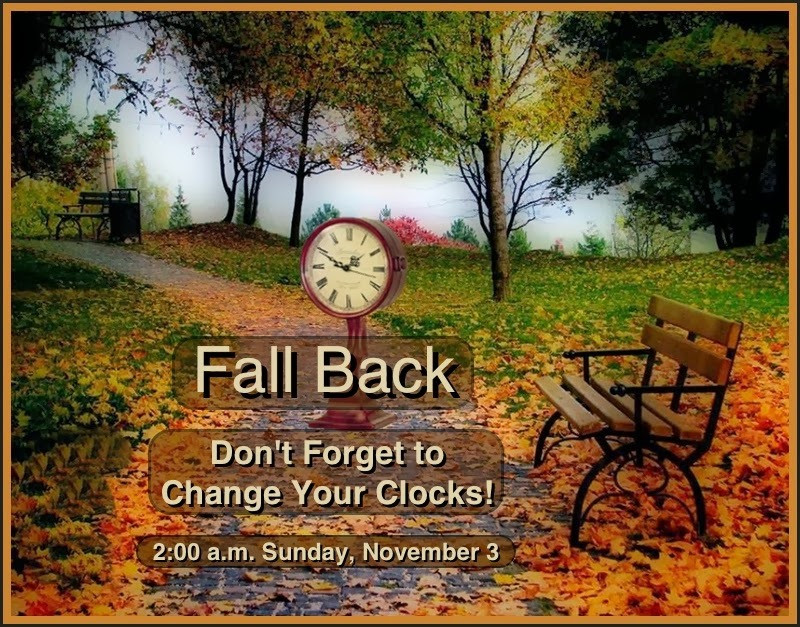 Fall Back Quotes
 Formulations A Writer s Mind