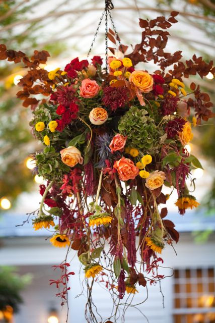 Fall Hanging Basket Ideas
 This year im bringing in all my hanging pots and doing