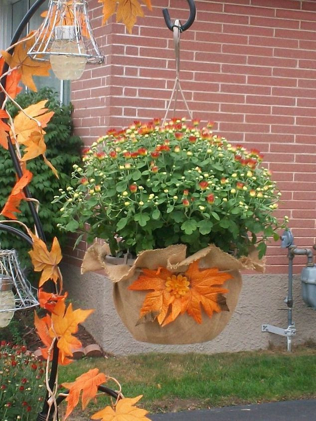 Fall Hanging Basket Ideas
 103 best Gardens Fall images on Pinterest