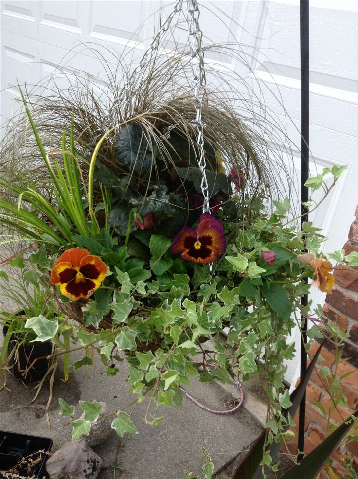Fall Hanging Basket Ideas
 16 best Fall Hanging Baskets images on Pinterest