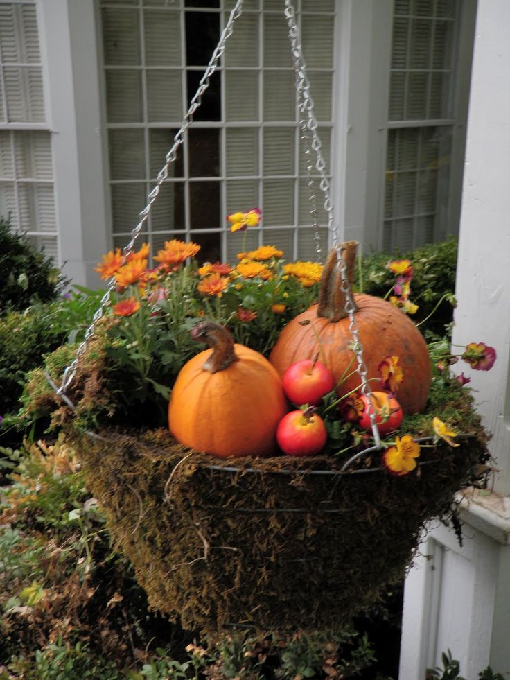 Fall Hanging Basket Ideas
 5th and state October 2009
