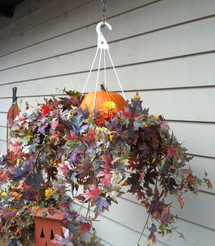 Fall Hanging Basket Ideas
 Best 25 Fall hanging baskets ideas on Pinterest