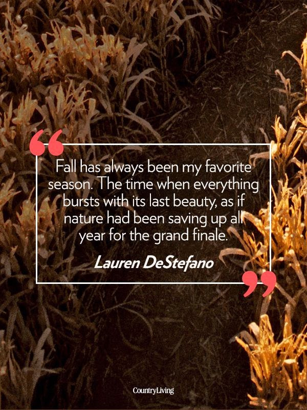 Fall Quote
 All Things Audry "Fall" in love with Autumn Ten Quotes