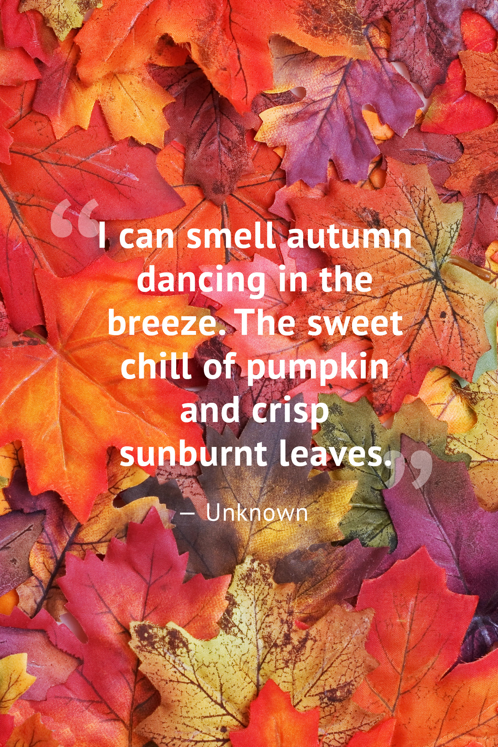 Fall Quote
 10 Beautiful Fall Quotes Best Sayings About Autumn