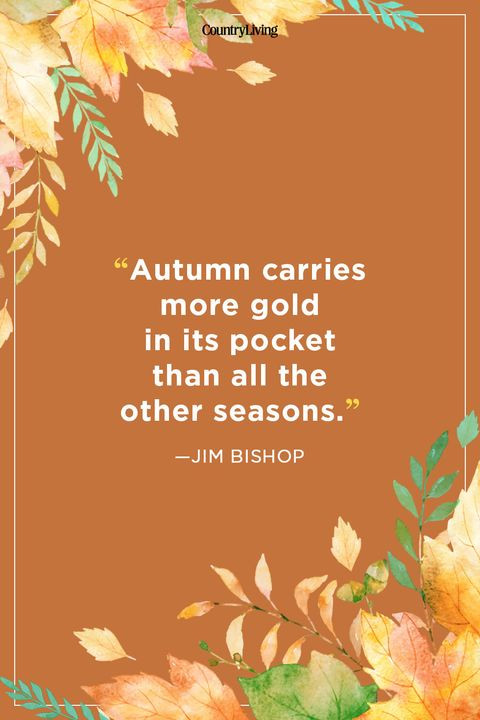 Fall Quote
 52 Fall Season Quotes Best Sayings About Autumn
