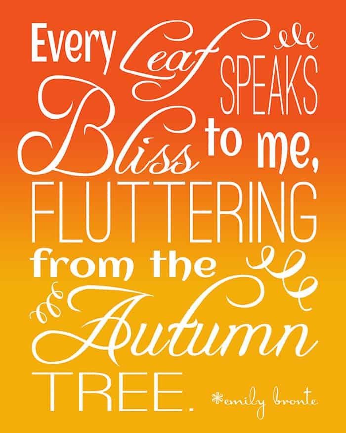Fall Quote
 Fluttering Leaves Fall Quote by Emily Bronte FREE