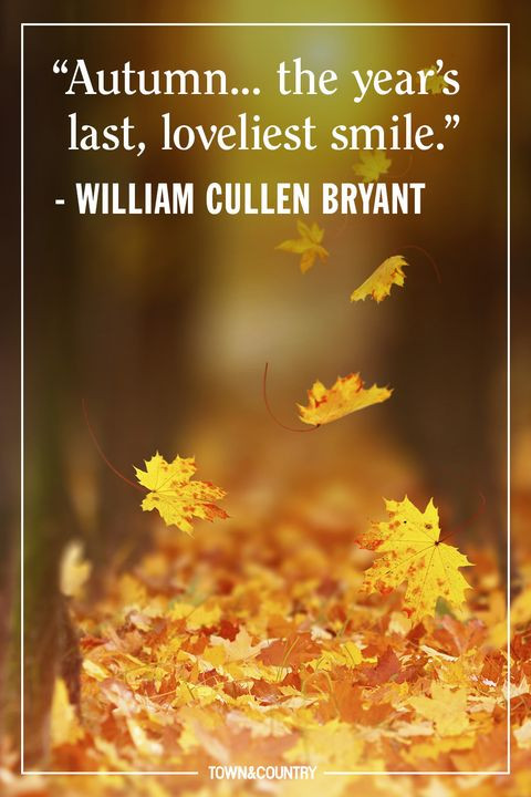Fall Quote
 15 Inspiring Fall Quotes Best Quotes and Sayings About