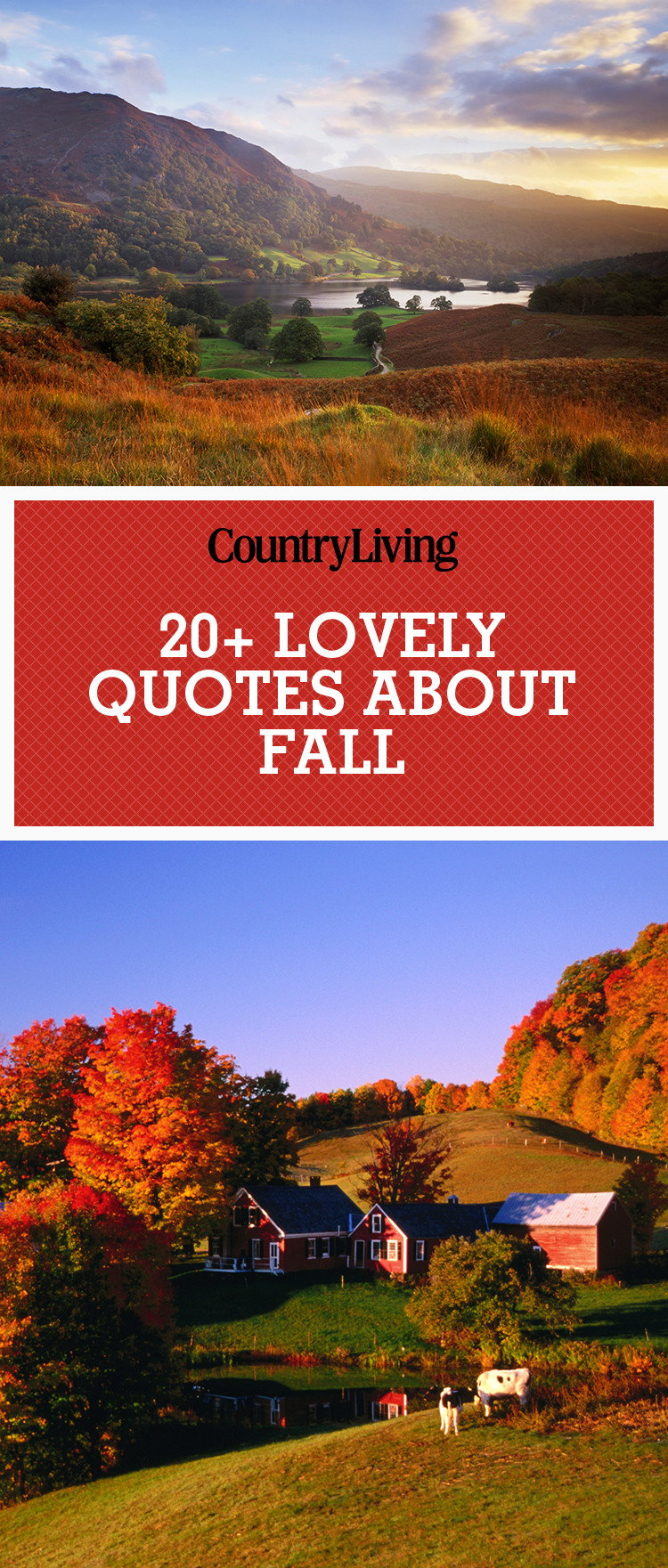 Fall Quote
 25 Fall Season Quotes Best Sayings About Autumn