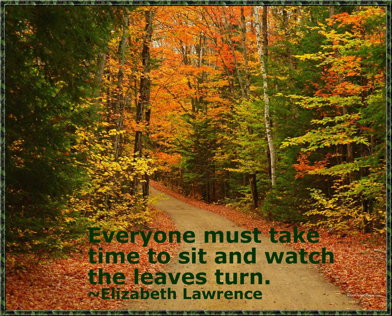 Fall Quote
 Doreen s Whimsical Words